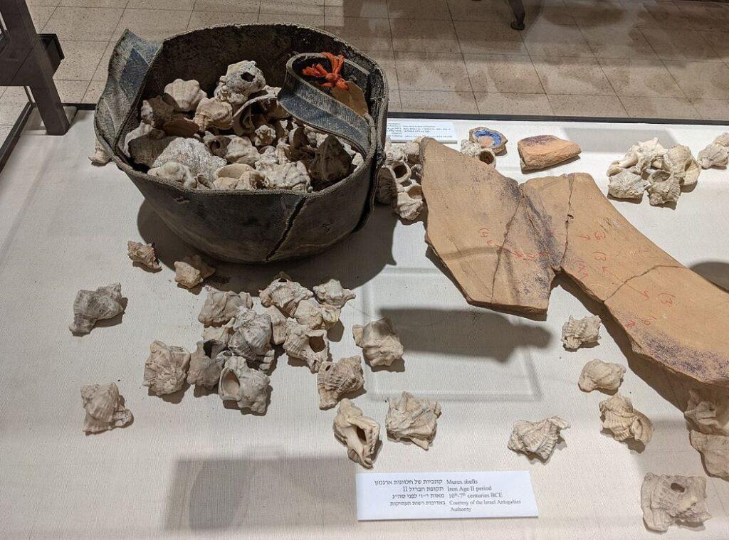 Artifacts recovered during the excavations