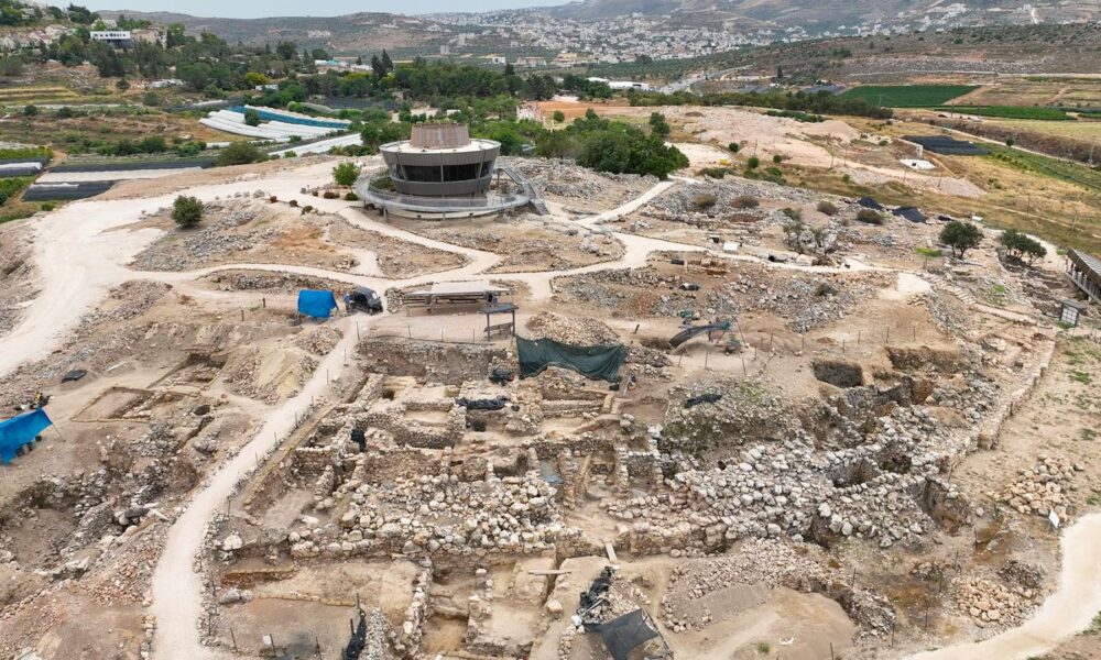 Aerial view of archaeological excavation site.